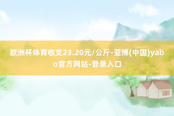 欧洲杯体育收支23.20元/公斤-亚博(中国)yabo官方网站-登录入口