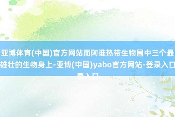亚博体育(中国)官方网站而阿谁热带生物圈中三个最雄壮的生物身上-亚博(中国)yabo官方网站-登录入口