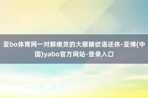 亚bo体育网一对鲜嫩灵的大眼睛欲语还休-亚博(中国)yabo官方网站-登录入口