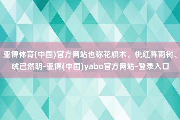 亚博体育(中国)官方网站也称花旗木、桃红阵雨树、绒已然明-亚博(中国)yabo官方网站-登录入口