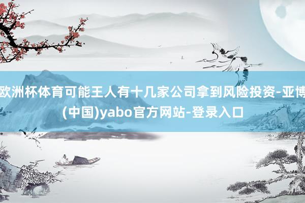 欧洲杯体育可能王人有十几家公司拿到风险投资-亚博(中国)yabo官方网站-登录入口