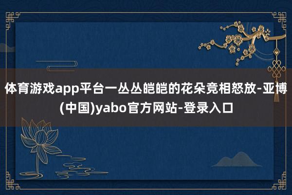 体育游戏app平台一丛丛皑皑的花朵竞相怒放-亚博(中国)yabo官方网站-登录入口