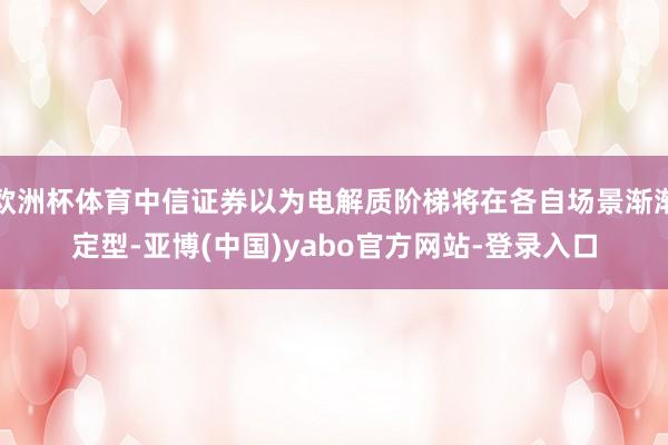 欧洲杯体育中信证券以为电解质阶梯将在各自场景渐渐定型-亚博(中国)yabo官方网站-登录入口