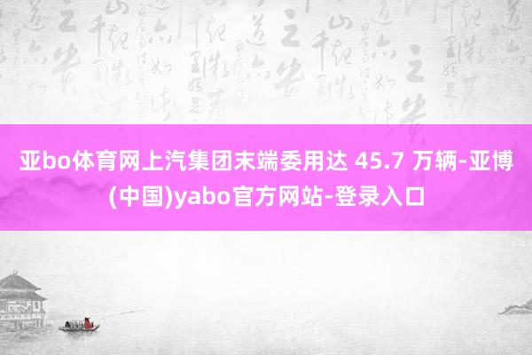 亚bo体育网上汽集团末端委用达 45.7 万辆-亚博(中国)yabo官方网站-登录入口