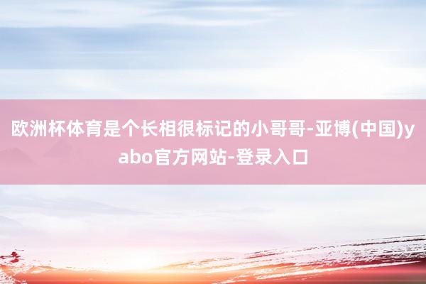 欧洲杯体育是个长相很标记的小哥哥-亚博(中国)yabo官方网站-登录入口