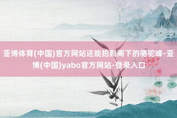 亚博体育(中国)官方网站还能拍到阁下的骆驼峰-亚博(中国)yabo官方网站-登录入口