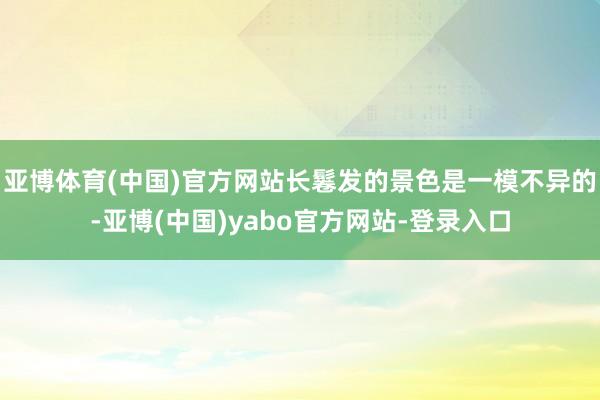 亚博体育(中国)官方网站长鬈发的景色是一模不异的-亚博(中国)yabo官方网站-登录入口