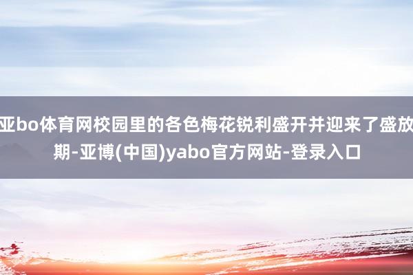 亚bo体育网校园里的各色梅花锐利盛开并迎来了盛放期-亚博(中国)yabo官方网站-登录入口