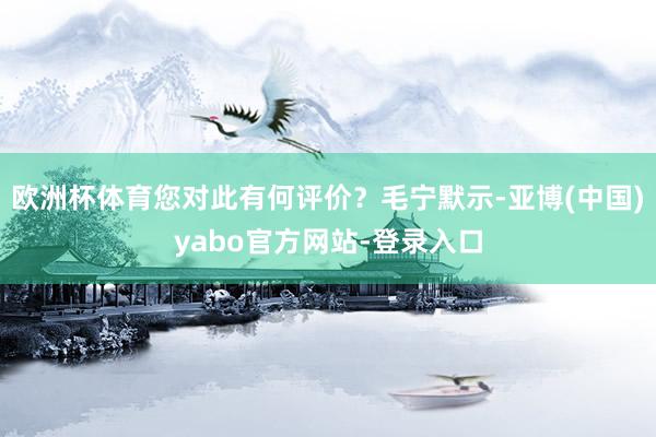 欧洲杯体育您对此有何评价？毛宁默示-亚博(中国)yabo官方网站-登录入口