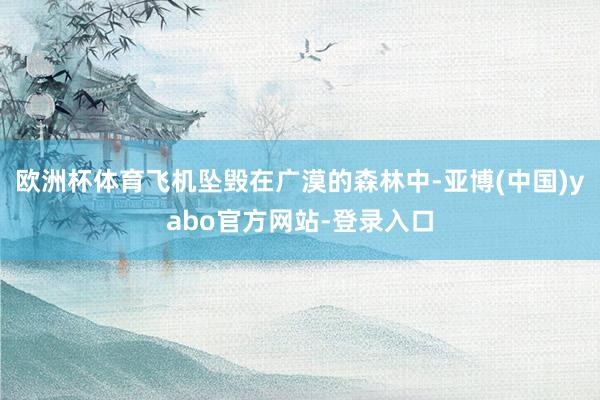 欧洲杯体育飞机坠毁在广漠的森林中-亚博(中国)yabo官方网站-登录入口