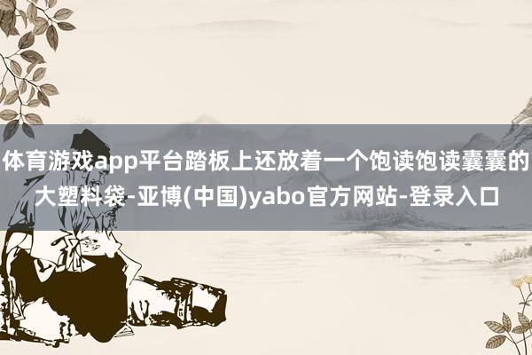 体育游戏app平台踏板上还放着一个饱读饱读囊囊的大塑料袋-亚博(中国)yabo官方网站-登录入口
