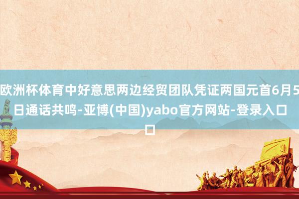 欧洲杯体育中好意思两边经贸团队凭证两国元首6月5日通话共鸣-亚博(中国)yabo官方网站-登录入口