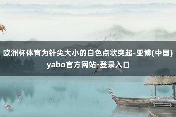 欧洲杯体育为针尖大小的白色点状突起-亚博(中国)yabo官方网站-登录入口
