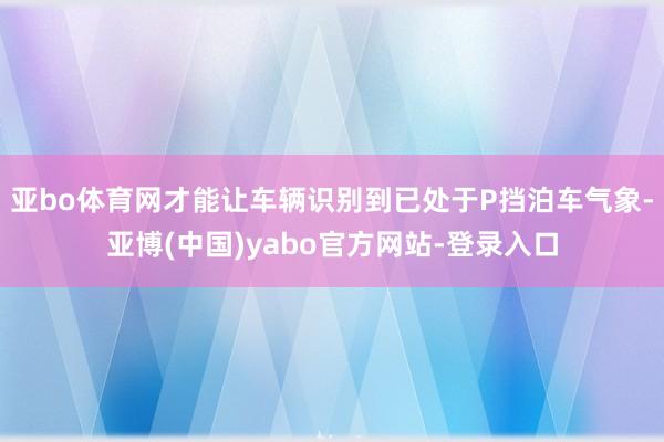 亚bo体育网才能让车辆识别到已处于P挡泊车气象-亚博(中国)yabo官方网站-登录入口