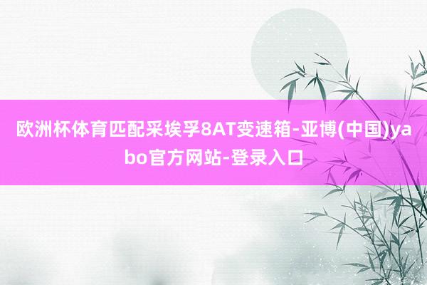 欧洲杯体育匹配采埃孚8AT变速箱-亚博(中国)yabo官方网站-登录入口