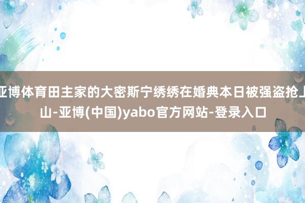 亚博体育田主家的大密斯宁绣绣在婚典本日被强盗抢上山-亚博(中国)yabo官方网站-登录入口