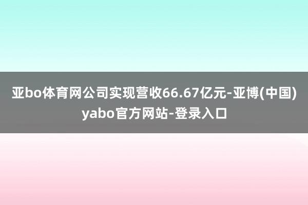 亚bo体育网公司实现营收66.67亿元-亚博(中国)yabo官方网站-登录入口