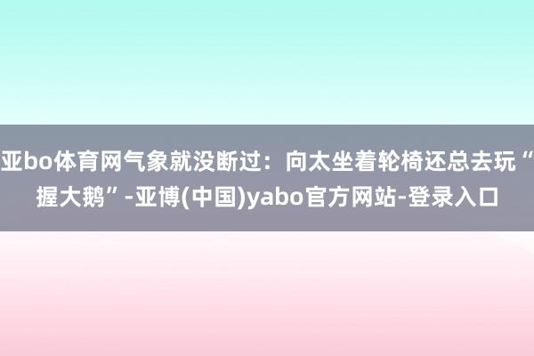 亚bo体育网气象就没断过：向太坐着轮椅还总去玩“握大鹅”-亚博(中国)yabo官方网站-登录入口