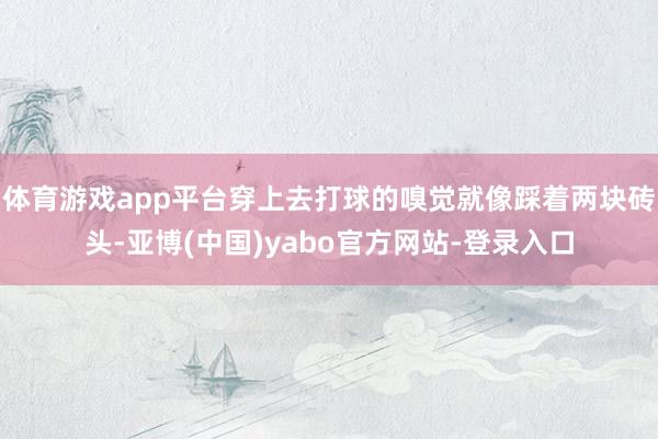 体育游戏app平台穿上去打球的嗅觉就像踩着两块砖头-亚博(中国)yabo官方网站-登录入口