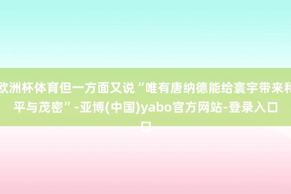 欧洲杯体育但一方面又说“唯有唐纳德能给寰宇带来和平与茂密”-亚博(中国)yabo官方网站-登录入口