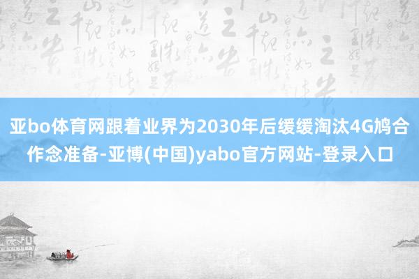亚bo体育网跟着业界为2030年后缓缓淘汰4G鸠合作念准备-亚博(中国)yabo官方网站-登录入口