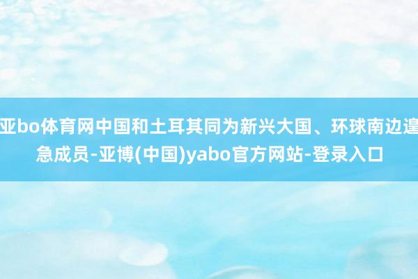 亚bo体育网中国和土耳其同为新兴大国、环球南边遑急成员-亚博(中国)yabo官方网站-登录入口