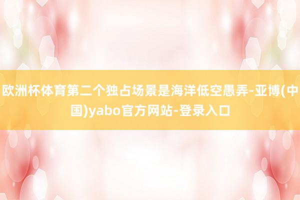 欧洲杯体育第二个独占场景是海洋低空愚弄-亚博(中国)yabo官方网站-登录入口